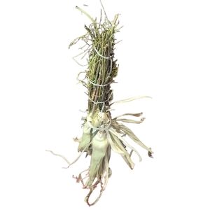 Witch’s  Herbs Corn Husk Broom | Handcrafted Magical Decor